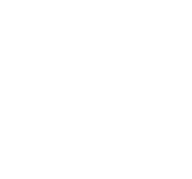 css3