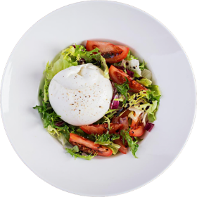 saladIcon1